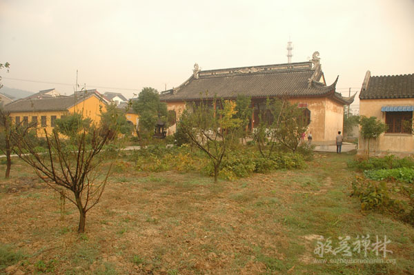 ������ʷ����Ƭ