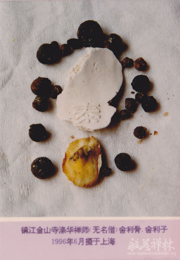 �ӻ���ʦ����