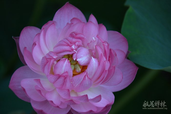 2015��6������һ����