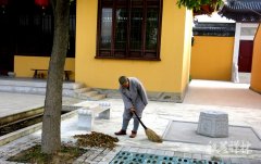 2015��������ƪ